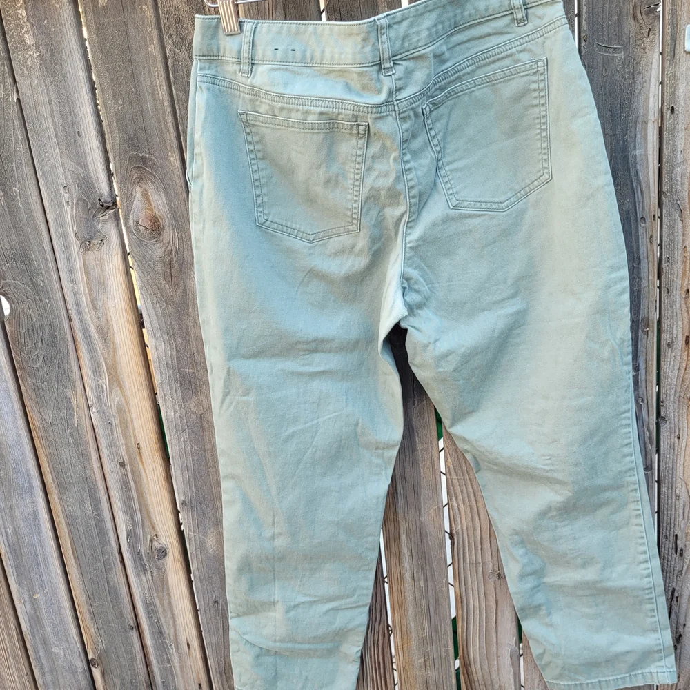 White House Black Market Green Ankle Cropped Pants SZ 6 - Picture 14 of 16